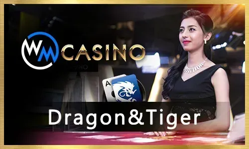 Exclusive App Bonuses